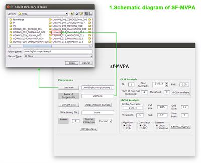 SF-MVPA: A from raw data to statistical results and surface space-based MVPA toolbox